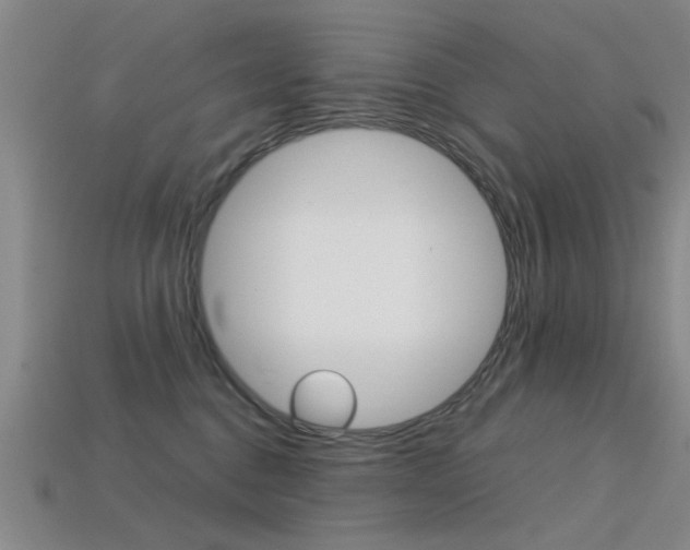 X0000113560376200909181026