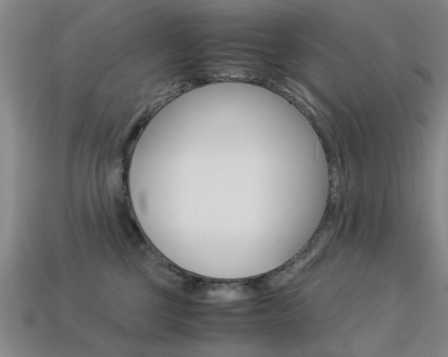 X0000113560377200909181026