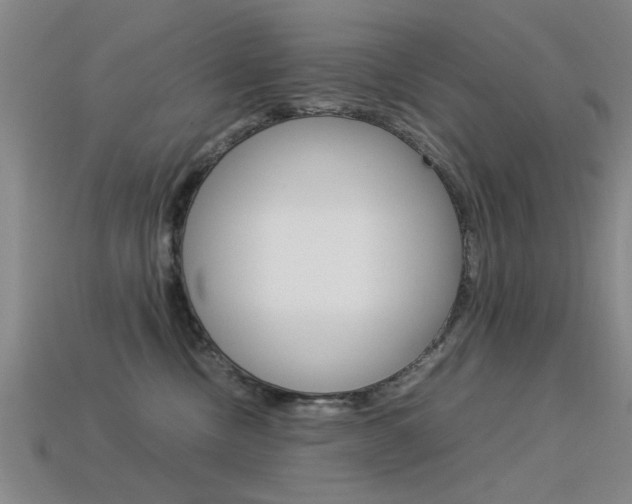 X0000113560378200909181026