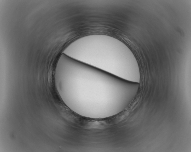 X0000113560379200909181026