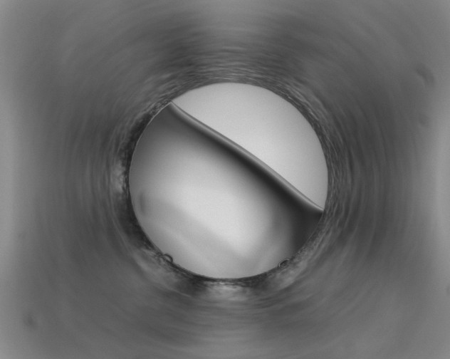 X0000113560380200909181026