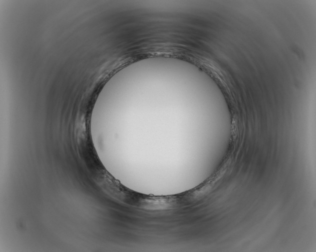 X0000113560381200909181026