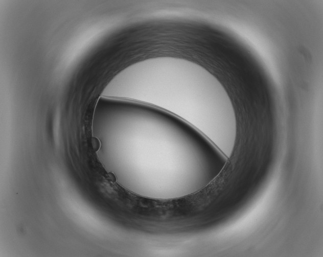 X0000113560382200909181026