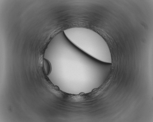X0000113560383200909181026