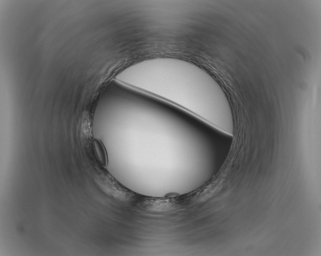 X0000113560384200909181026