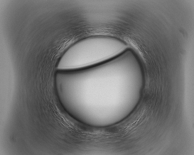 X0000113560385200909181025
