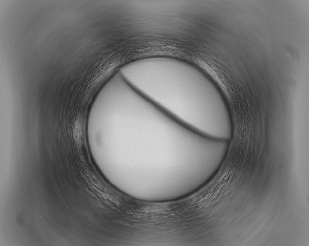 X0000113560386200909181025
