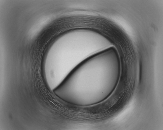 X0000113560387200909181025