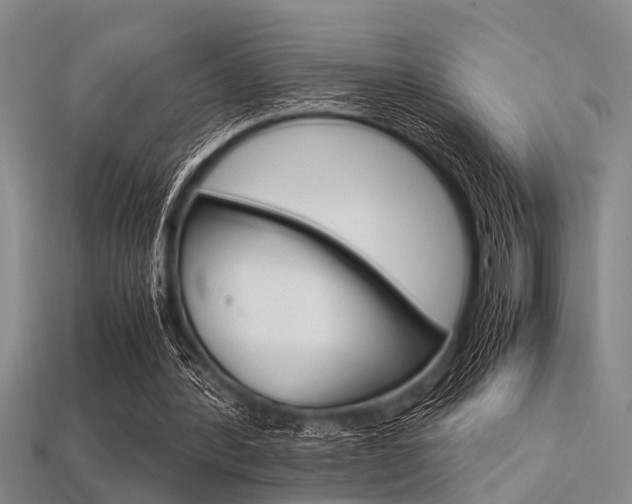 X0000113560388200909181025