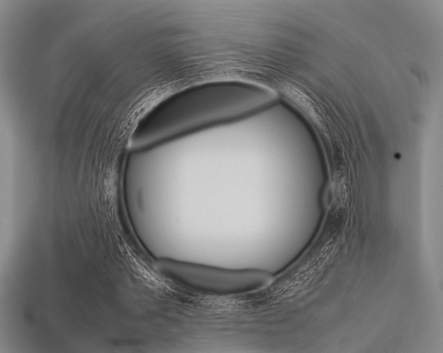 X0000113560389200909181025