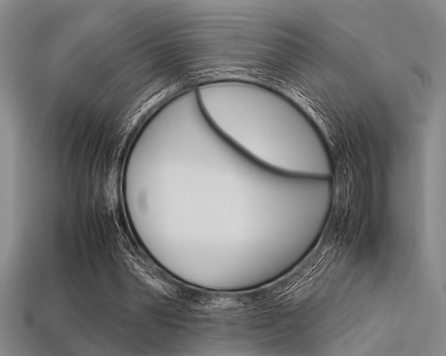 X0000113560390200909181025