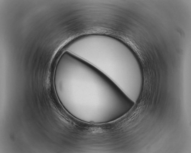 X0000113560392200909181025