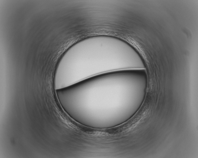 X0000113560393200909181025