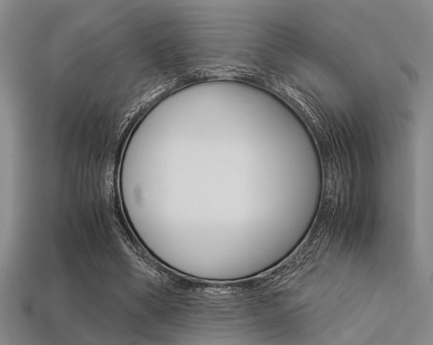 X0000113560394200909181025