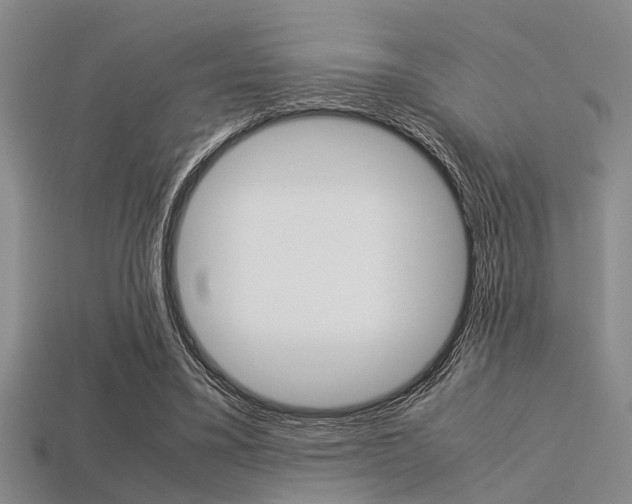 X0000113560395200909181025