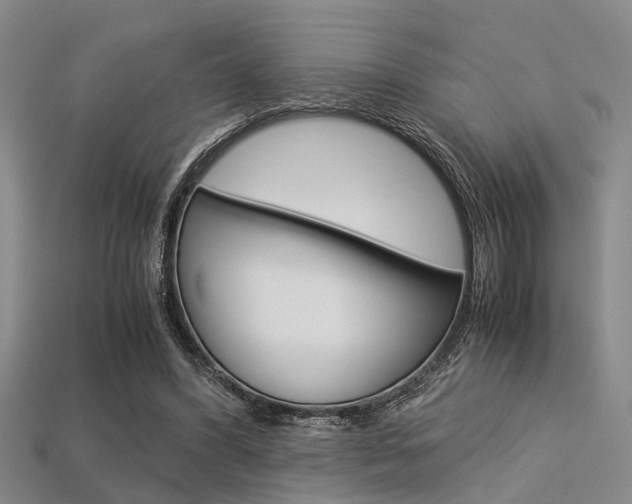 X0000113560396200909181025