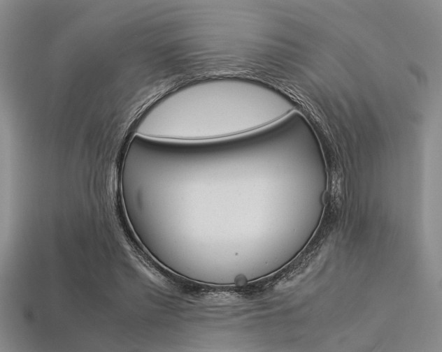 X0000113560397200909181025