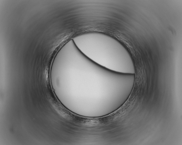 X0000113560398200909181025