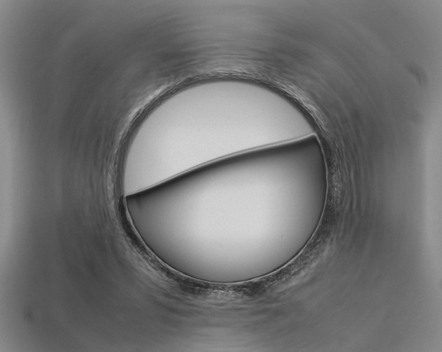 X0000113560399200909181025