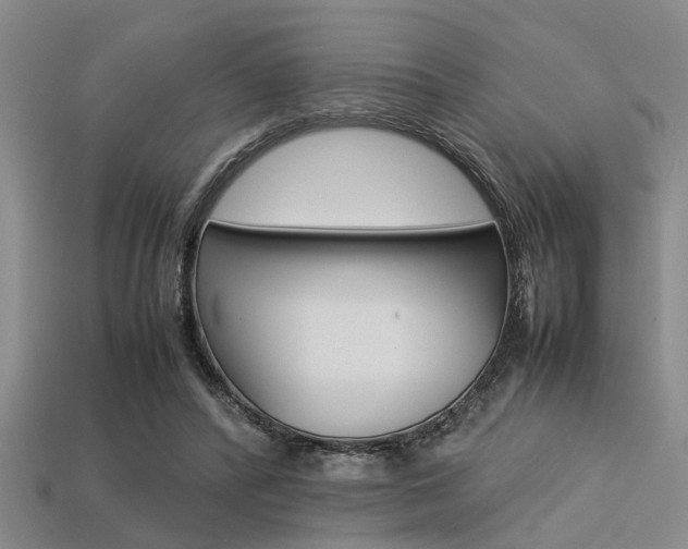 X0000113560400200909181025