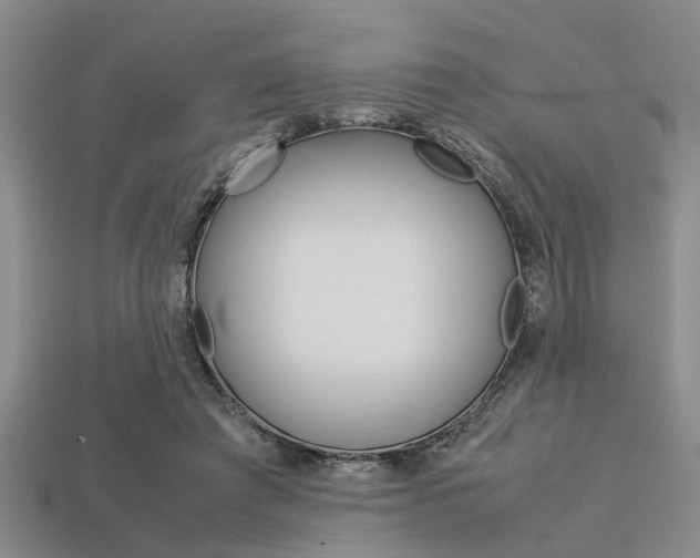 X0000113560401200909181025