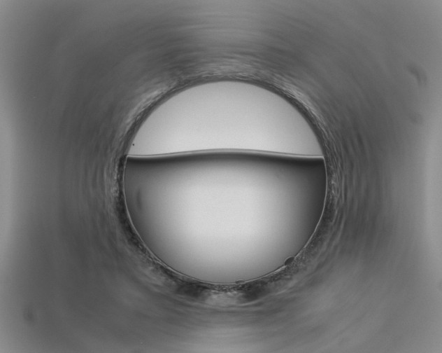 X0000113560403200909181025
