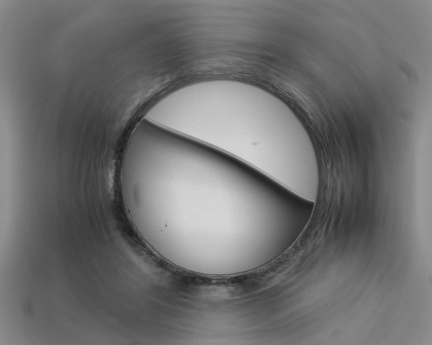 X0000113560404200909181025