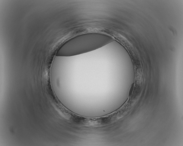X0000113560405200909181025