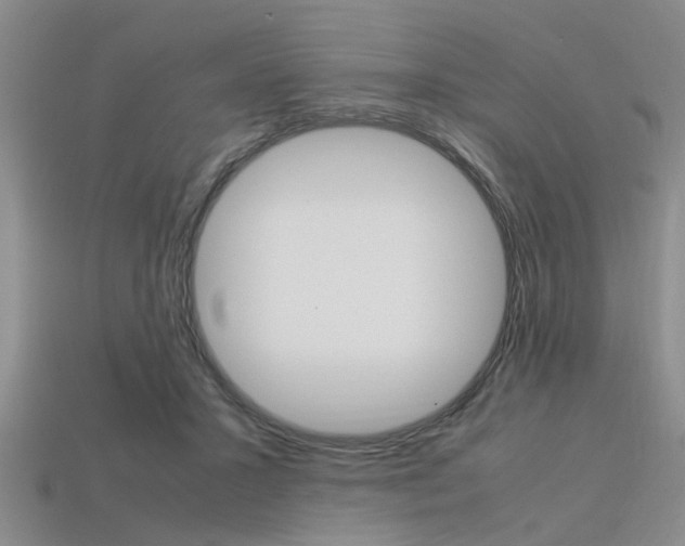 X0000113560407200909181025
