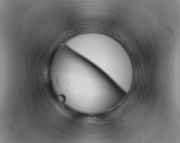 X0000113560408200909181025