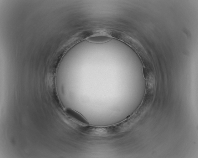 X0000113560409200909181025