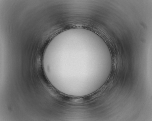 X0000113560410200909181025