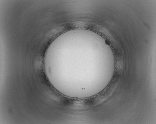 X0000113560411200909181025
