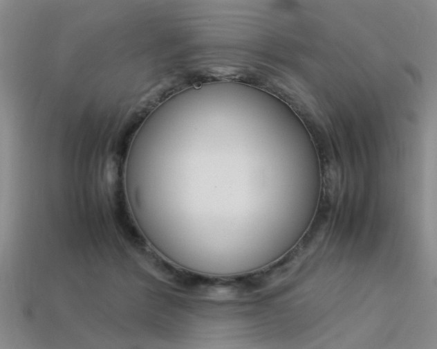 X0000113560412200909181025