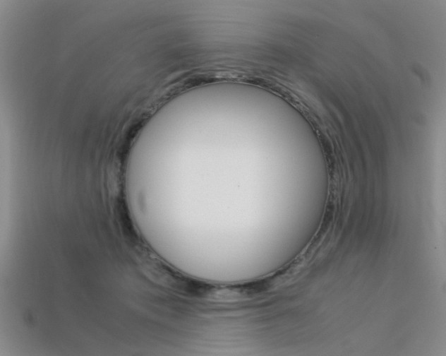 X0000113560413200909181025
