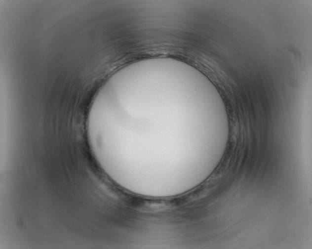 X0000113560414200909181025