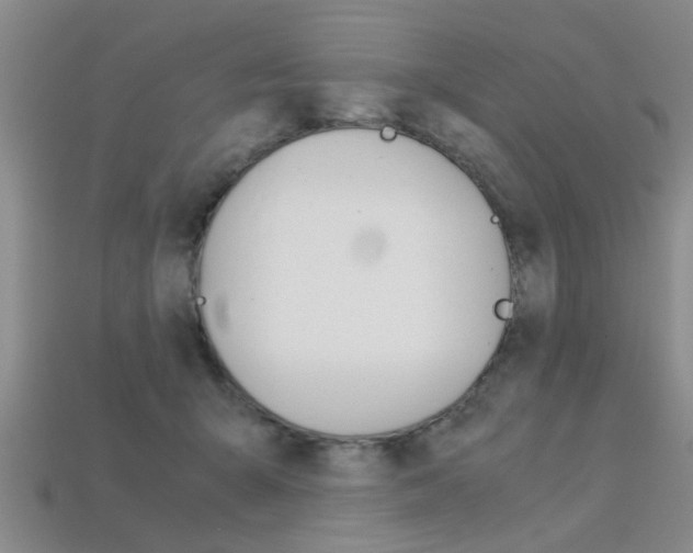 X0000113560415200909181025