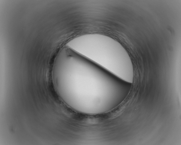X0000113560416200909181025