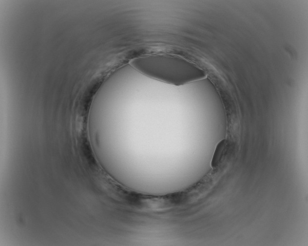 X0000113560417200909181025