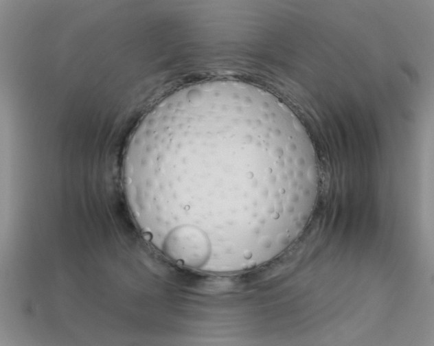 X0000113560418200909181025