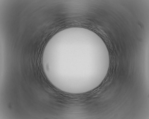 X0000113560419200909181025