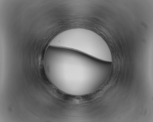X0000113560420200909181025