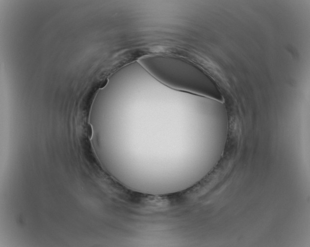 X0000113560421200909181025