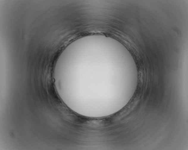 X0000113560422200909181025