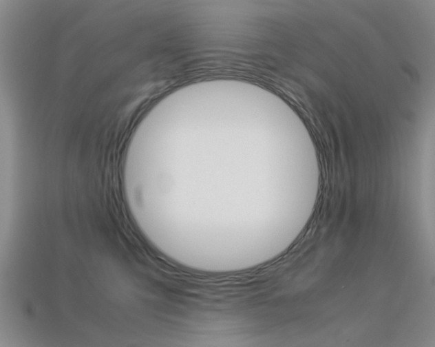 X0000113560423200909181025