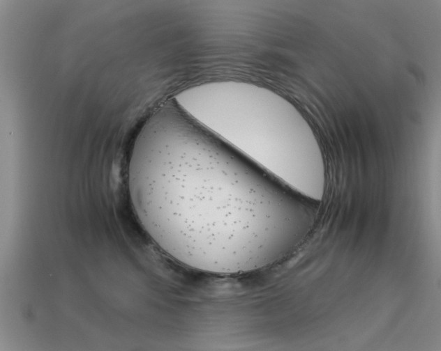 X0000113560424200909181025