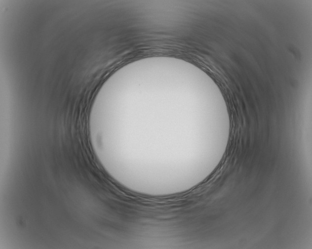 X0000113560425200909181025