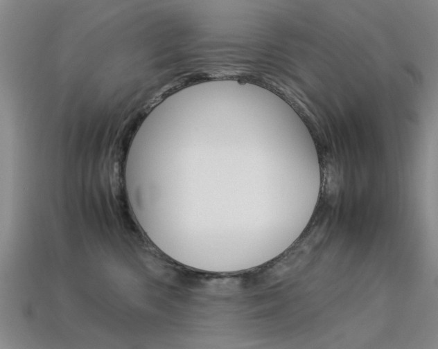 X0000113560426200909181025