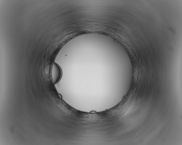 X0000113560428200909181025