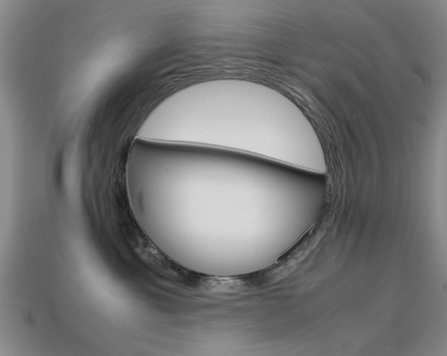 X0000113560429200909181025